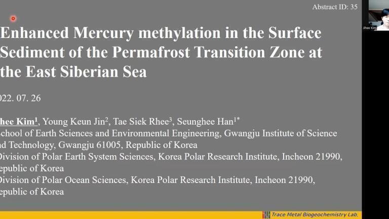 Enhanced Mercury Methylation in the Surface Sediment of the Permafrost Transition Zone at the East Siberian Sea